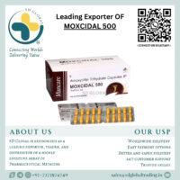 Moxcidal 500mg Tablet